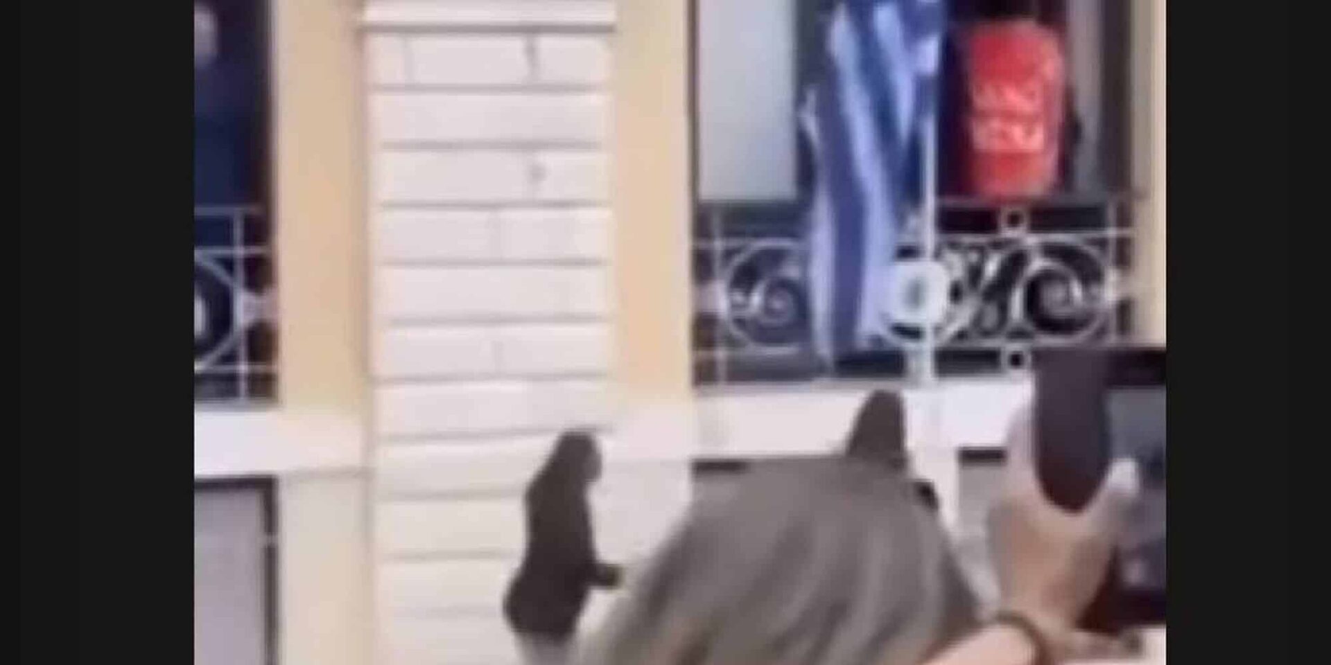 Μπότης έπεσε στο κεφάλι γυναίκας στην Κέρκυρα