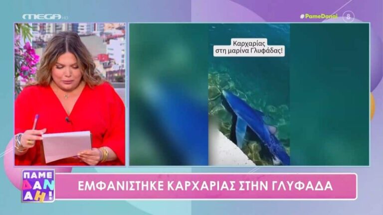 Καρχαρίας βγήκε στα ρηχά στην Μαρίνα της Γλυφάδας