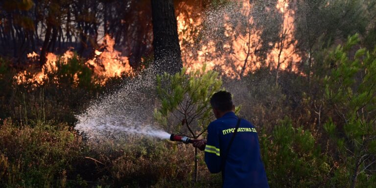 Τραγωδία: Νεκρός 45χρονος από ανακοπή στη μεγάλη φωτιά στη Σταμάτα!