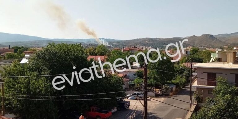 Φωτιά τώρα στο Κοντοδεσπότι Εύβοιας – Μεγάλη κινητοποίηση της Πυροσβεστικής! (βίντεο)
