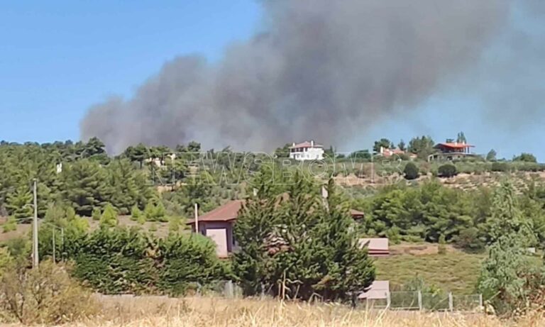 Μεγάλη φωτιά στον Βαρνάβα: Καίγονται σπίτια, ζημιές σε υδροφόρα – Μάχονται με τις φλόγες οι πυροσβέστες!