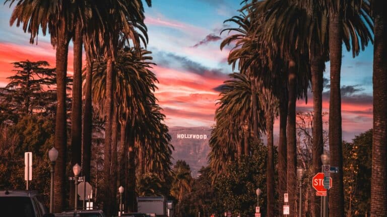 «Bling Ring» – Η συμμορία του Χόλυγουντ