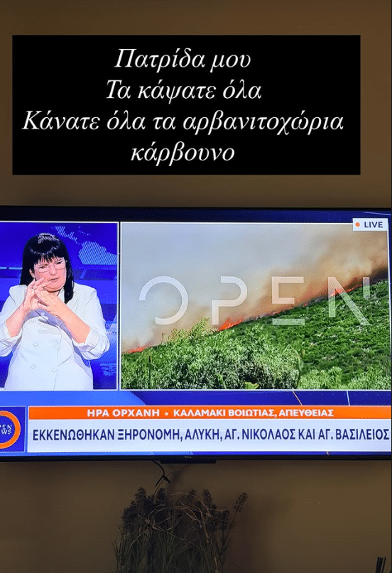 «Τα κάψατε όλα»: Ξέσπασε η Κατερίνα Ζαρίφη για τις καταστροφικές φωτιές στη Βοιωτία